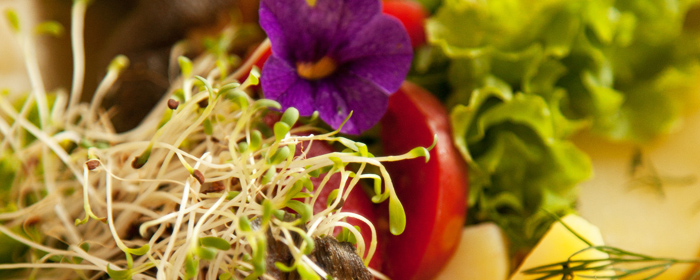 przyjęcia okolicznościowe poznań